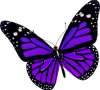 butterfly_PNG1056